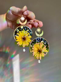 Image 1 of 🌙🌼Sunlight Daisies🌼🌙