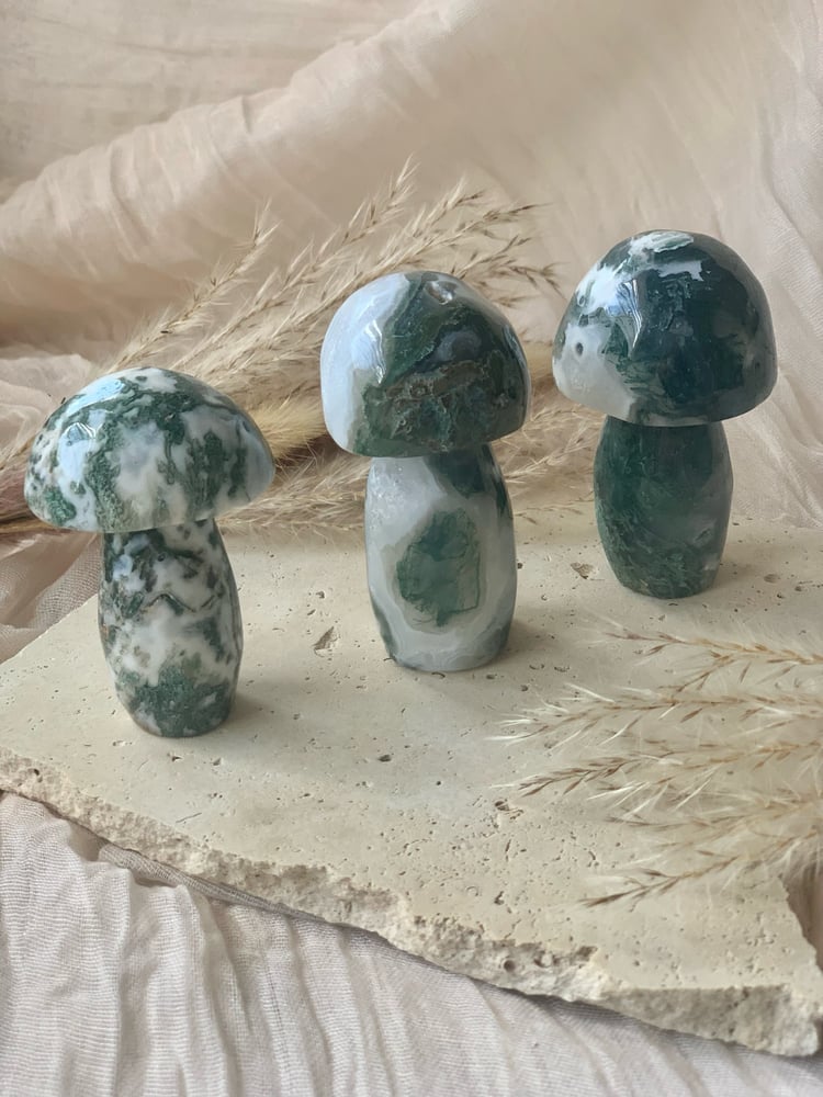 Image of Moss Agate Mushrooms Lge  