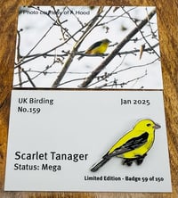 Image 1 of Scarlet Tanager - No.159 - UK Birding Pins 