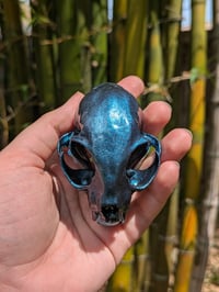 Image 2 of Opal Cat Skull 