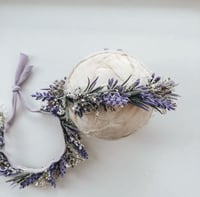 Image 6 of Lavender Halo