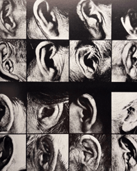 Image 4 of Araki by Araki (Japanese Edition, First Edition) Book