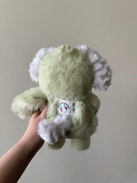 Image 3 of Acorn Puppy