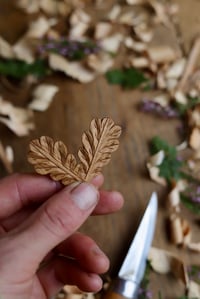 Image 7 of Oak Leaf ~ Earrings 