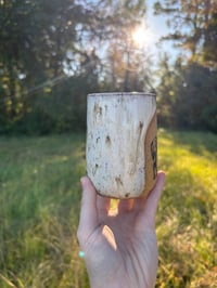 Image 4 of Western pony + cattle dog speckled white