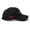 Image of DEFY DAD HAT