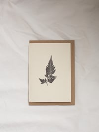 Image 1 of Black Spleenwort Fern 2 Greeting Card A6