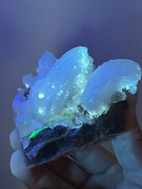 Image 4 of Ram’s Horn Selenite, Gypsum Specimen | Guizhou China #3048