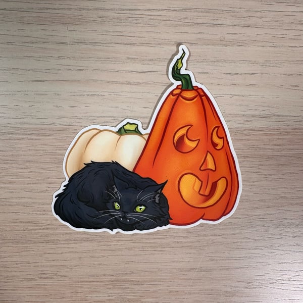 Image of pumpkin kitten