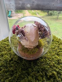 Image 3 of Mossy Rose Quartz Kitty Cloche