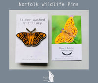 Image 1 of Silver-washed Fritillary - #8 - Norfolk Wildlife Series - SB Photography