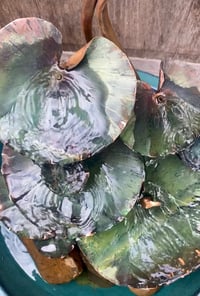 Image 3 of Luscious Lily Leaves 