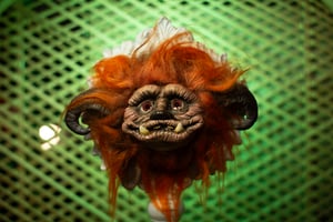 Image of Ludo 