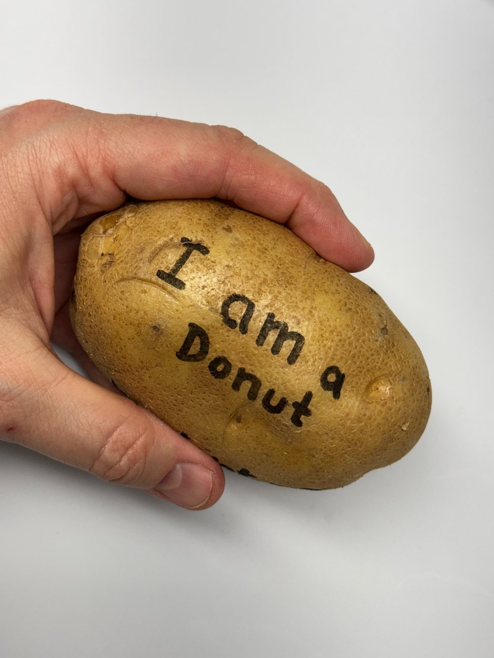 Image of I am a Donut