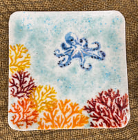 Octopus Garden