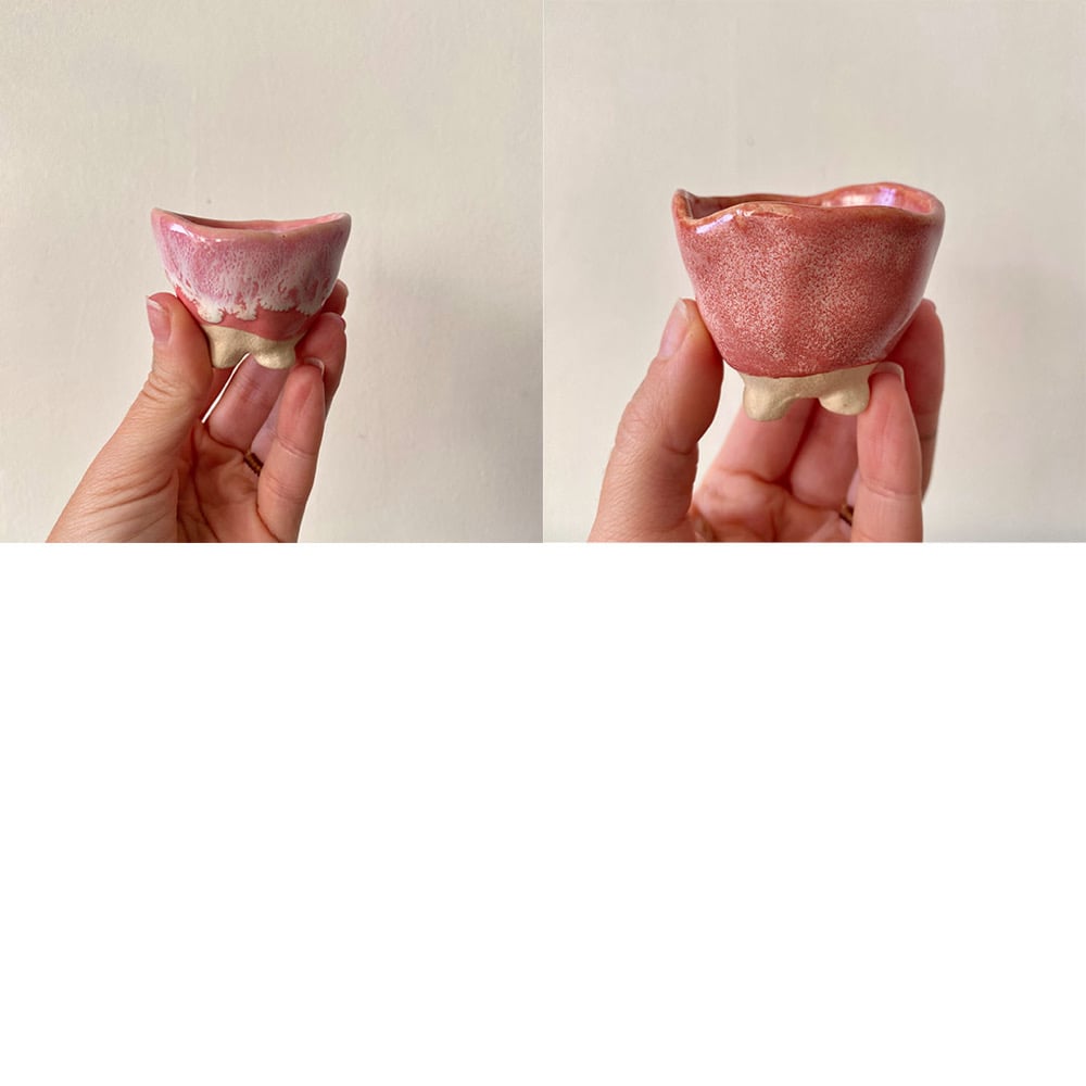 Image of Plant Pots