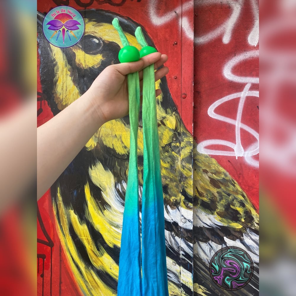 Image of Parrotfish Handdyed Poi 