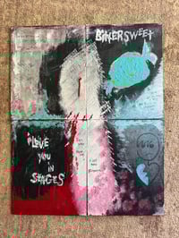 Image 1 of Bittersweet 20x16 (4 piece) painting - signed 