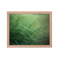 Image 2 of "Wavy Grass" Framed poster