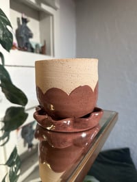 Image 2 of Tulip Planters