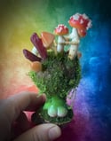 Terrarium