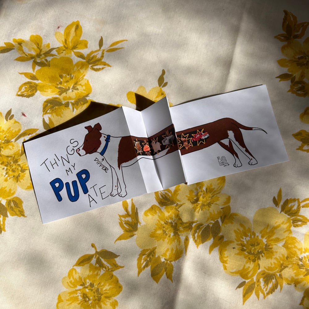 Things My Pup Ate