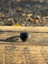 Image 1 of The Black Onyx Heart