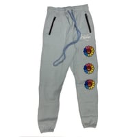 ASTROFURR Jogger (blue )