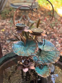 Image 8 of 💚🩵Heart Spring 🌱🍃🌿