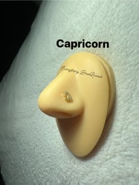 Image 9 of Zodiac Signs Nose Studs