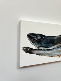 Image 2 of Supermarket Fish (2)