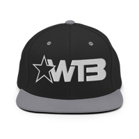 Image 5 of WTB Flat Bill Snapback