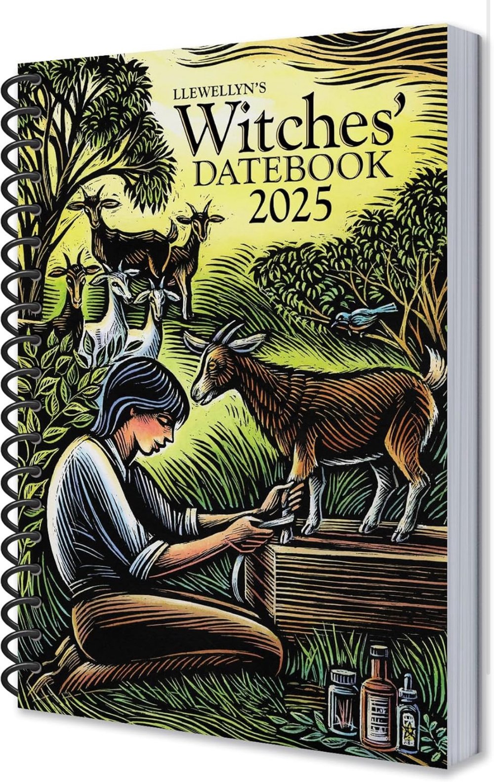 Image of Llewellyn’s Witches Datebook 2025