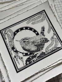 Image 1 of Little wren- drawn to scale!