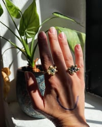 Image 2 of Bubble eyes