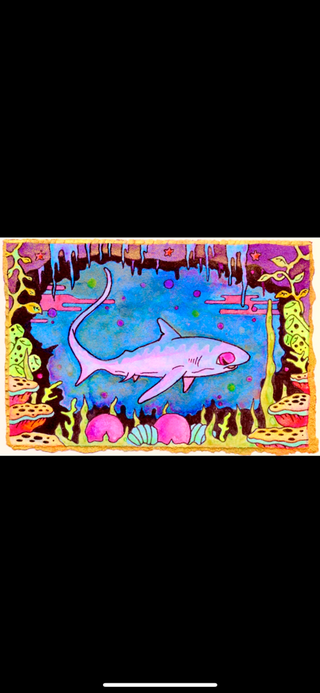 Image of “The Adventures of Mortimeer”