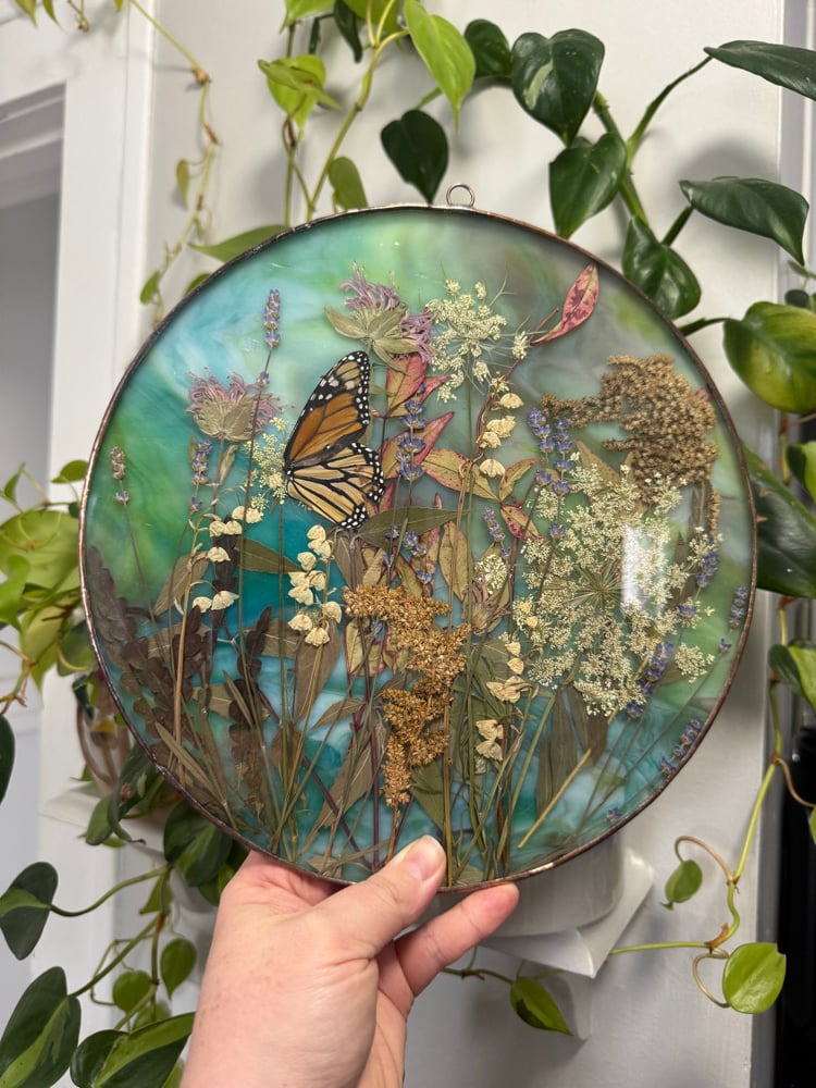 Wildflower field with monarch