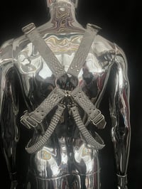 Image 2 of Grey Snake 'X' harness