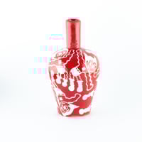 Image 1 of ASTRO BOTTLE RED