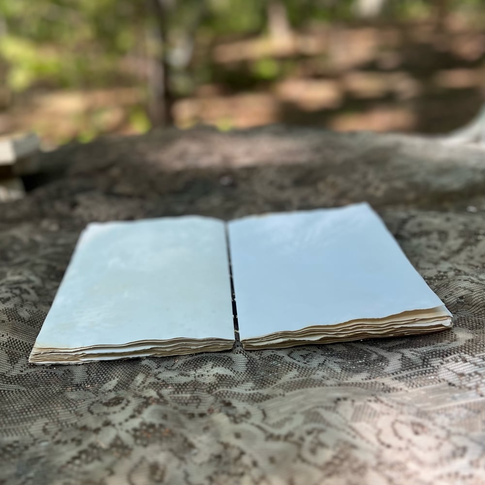 lie-flat commonplace book : Dogwood