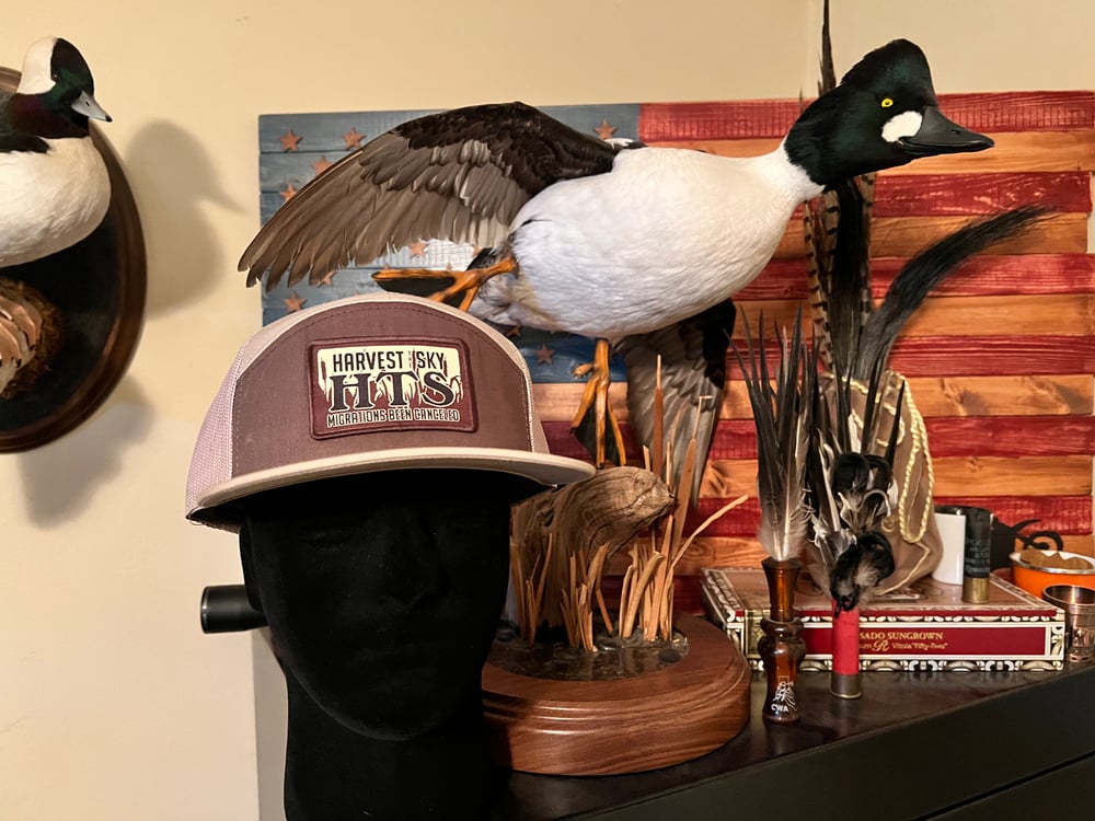 Tule Logo Panel Hat