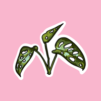swiss cheese monstera sticker 