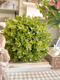 Image 2 of SALE! Large Boxwood Ball