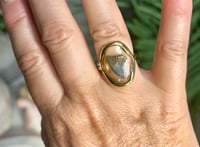 Image 3 of Shark Tooth Ring SR101