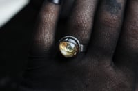Image 7 of Dead good fish head ring