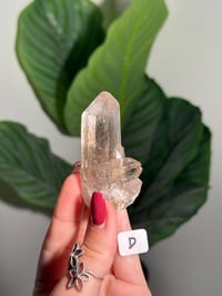 Image 5 of CHOOSE YOUR OWN NATURAL (UNPOLISHED) QUARTZ POINT -BRAZIL-