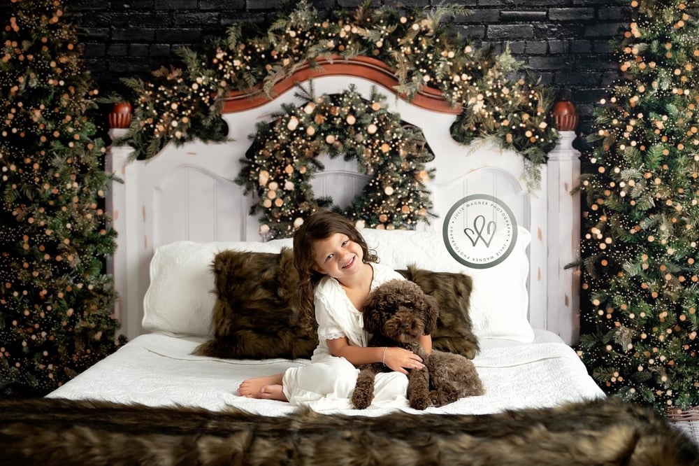 Image of Bed Minis 11/26