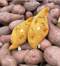 Sweet Potatos (each Sold Separately)