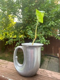 Image 3 of Arrowhead Plant in Unique Tuba Mug