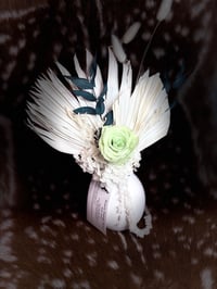Image 7 of White Wings 